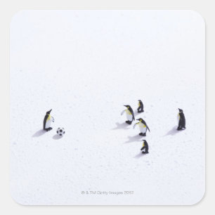 Sticker Carré Les pingouins jouant au football