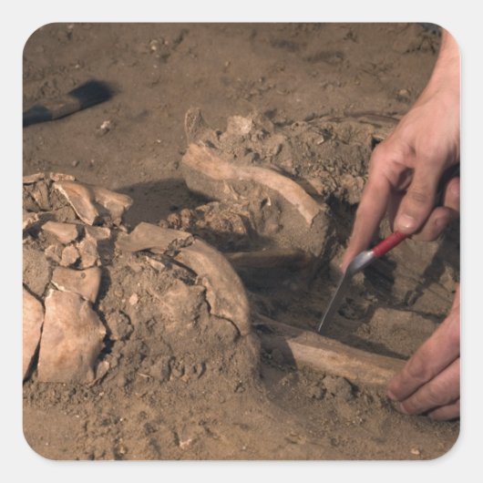 Sticker Carré Les restes humains (Devant)