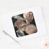 Sticker Carré Les trésors de la mer (Enveloppe)