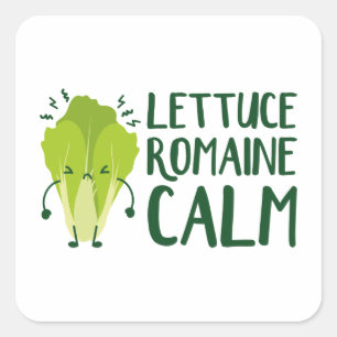 Sticker Carré Lettuce Romaine Calme