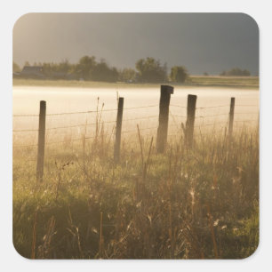 Sticker Carré Lever de soleil éclairant le brouillard le long d'