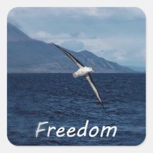 Liberté de déambuler dans l'océan