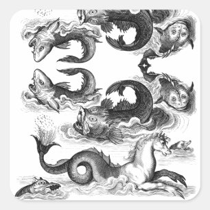 Sticker Carré Ligne de mer vintage Dessin Poisson Cheval noir bl