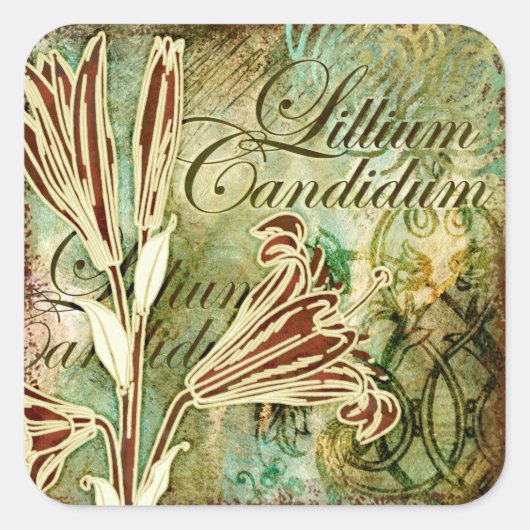 Sticker Carré Lillium Candidum (Devant)