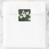 Sticker Carré Lily de Pâques (Lilium regale) (Sac)