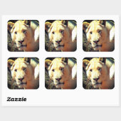 Sticker Carré Lion (Feuille)