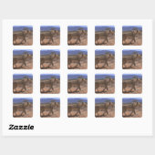 Sticker Carré Lion 3 (Feuille)