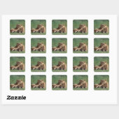 Sticker Carré Lion 5 (Feuille)