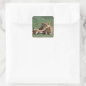 Sticker Carré Lion 5 (Sac)
