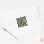 Sticker Carré Lion 5 (Enveloppe)