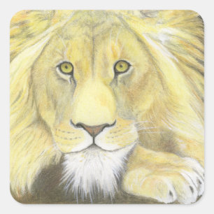 Sticker Carré Lion africain
