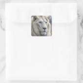 Sticker Carré Lion blanc (Sac)