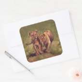 Sticker Carré Lion Cubs (Enveloppe)