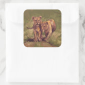 Sticker Carré Lion Cubs (Sac)