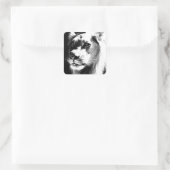 Sticker Carré Lion Eyes (Sac)