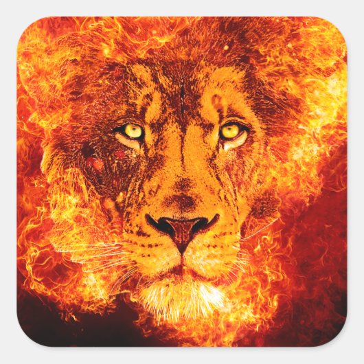 Sticker Carré Lion flamand de Juda (Devant)