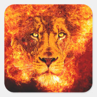 Lion flamand de Juda