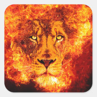 Lion flamand de Juda
