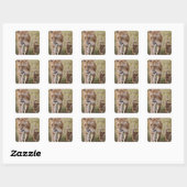 Sticker Carré Lionne avec son petit (Feuille)