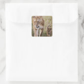 Sticker Carré Lionne avec son petit (Sac)