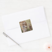 Sticker Carré Lionne avec son petit (Enveloppe)