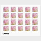Sticker Carré Lis calla roses (Feuille)