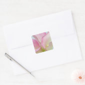 Sticker Carré Lis calla roses (Enveloppe)