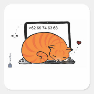 Sticker Carré Lit Cat Ordinateur Portable (Tabby Orange)