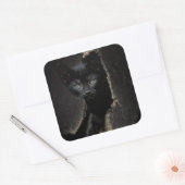 Sticker Carré Little Black Kitty (Enveloppe)