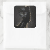 Sticker Carré Little Black Kitty (Sac)