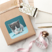 Sticker Carré Little Kitten (Cadeaux)