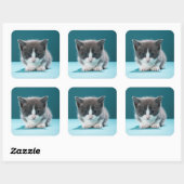 Sticker Carré Little Kitten (Feuille)