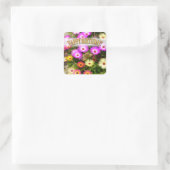 Sticker Carré Livingstone Daisy Anniversaire (Sac)