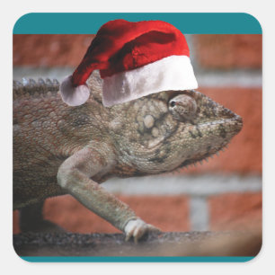 Sticker Carré Lizard de Noël