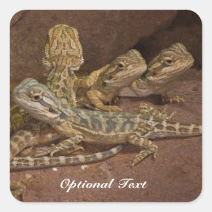 Sticker Carré Lizard Lizard Lizard Jigsaw Puz pour bébé personna