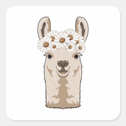 Sticker Carré Llama aux fleurs blanches (Devant)
