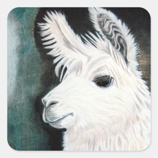 Sticker Carré Llama blanche (Devant)