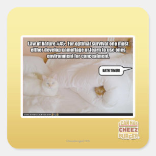 Sticker Carré Loi de la nature #45