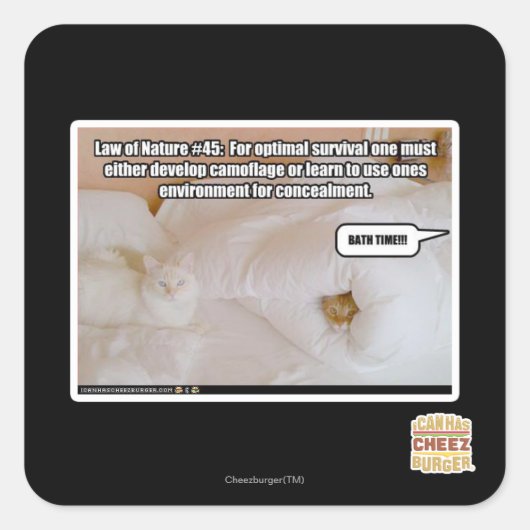 Sticker Carré Loi de la nature #45 (Devant)