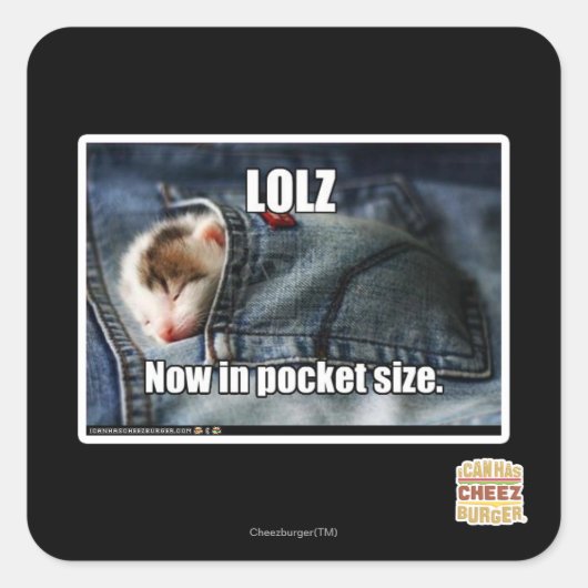 Sticker Carré LOLZ maintenant dans la taille de poche (Devant)