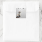 Sticker Carré Looking Up Cat -6 | Personalized Custom Text (Sac)
