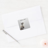 Sticker Carré Looking Up Cat -6 | Personalized Custom Text (Enveloppe)