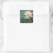 Sticker Carré Lotus "Suihiren" (Sac)