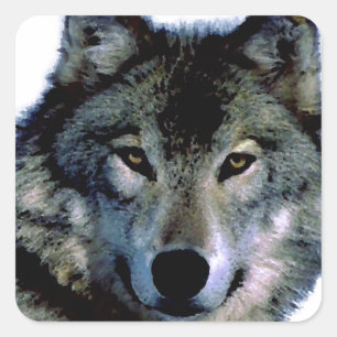 Sticker Carré Loup