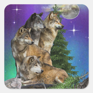 Sticker Carré Loup et lune