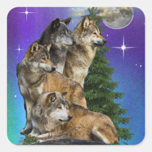 Sticker Carré Loup et Lune