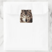 Sticker Carré Loup gris (Sac)