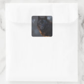 Sticker Carré Loup noir (Sac)