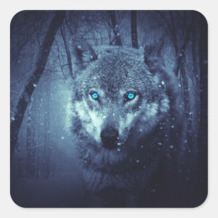 Sticker Carré Loup sauvage magique aux yeux bleus Extraordinaire