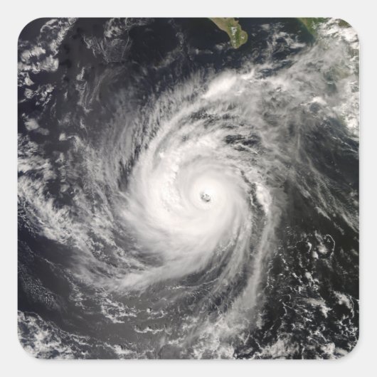 Sticker Carré L'ouragan Norbert au Mexique (Devant)
